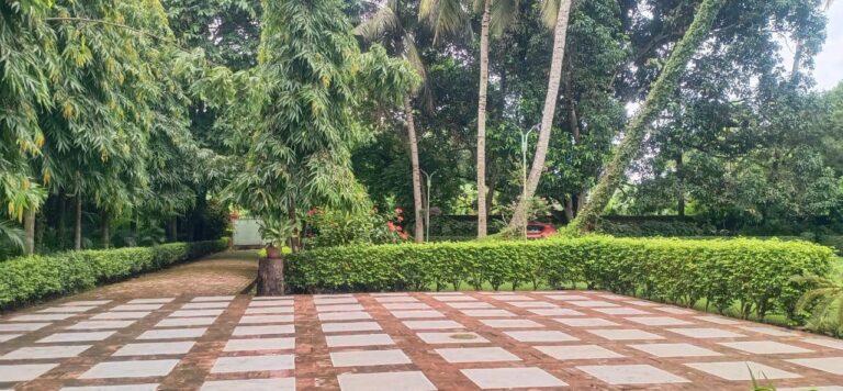 WhatsApp Image 2025-06-16 at 3.48